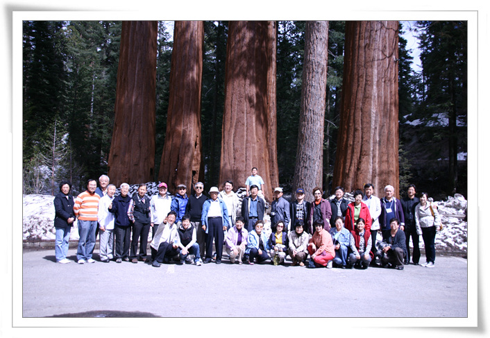 IMG_2486.jpg IMG_2486.jpg