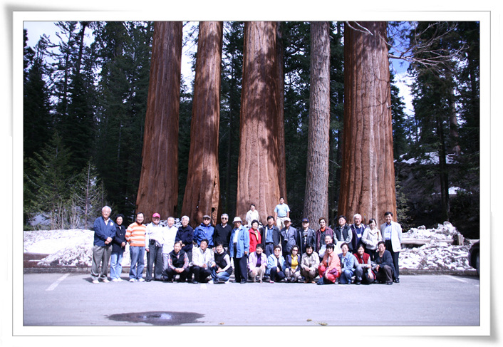 IMG_2495.jpg IMG_2495.jpg